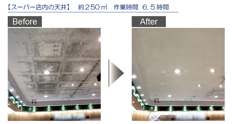 スーパー店内の天井：特許カビ処理技術「モールドハンター」の事例