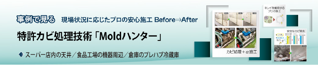 2023年11月号「プロによるカビ処理施工「Moldハンター」の事例紹介