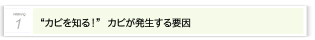 “カビを知る！”　カビが発生する要因