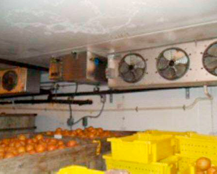バイオターボ設置事例：青果の貯蔵