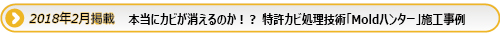 本当にカビが消えるのか！？特許カビ処理技術「Moldハンター」施工事例