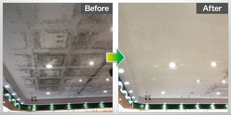 カビ処理技術「モールドハンター」事例：スーパー店内の天井