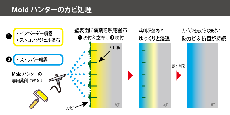 Moldハンター（モールドハンター）のカビ処理技術