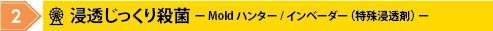 Moldハンター・インベーダー （特殊浸透剤）
