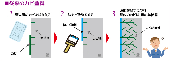 一般的なカビ処理：従来の防カビ塗装