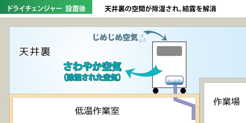 ドライチェンジャー設置後 天井裏の空間が除湿され、結露を解消