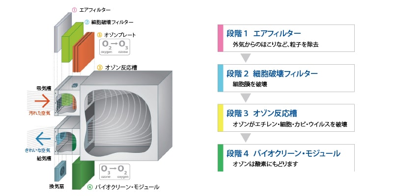 段階1:エアフィルター 外気からのほこりなど、粒子を除去 段階2:細胞破壊フィルター 細胞膜を破壊 段階3:オゾン反応槽 オゾンがエチレン・細胞・カビ・ウイルスを破壊 段階4:バイオクリーン・モジュール オゾンは酸素にもどります